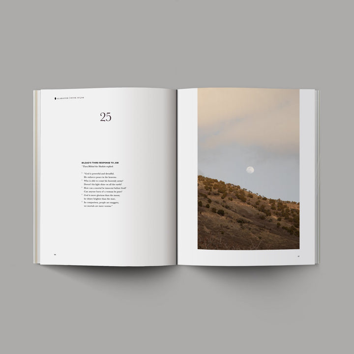 Book of Job - Re-vived