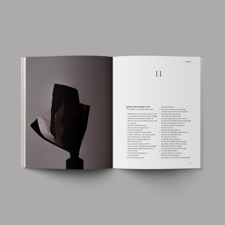Book of Job - Re-vived