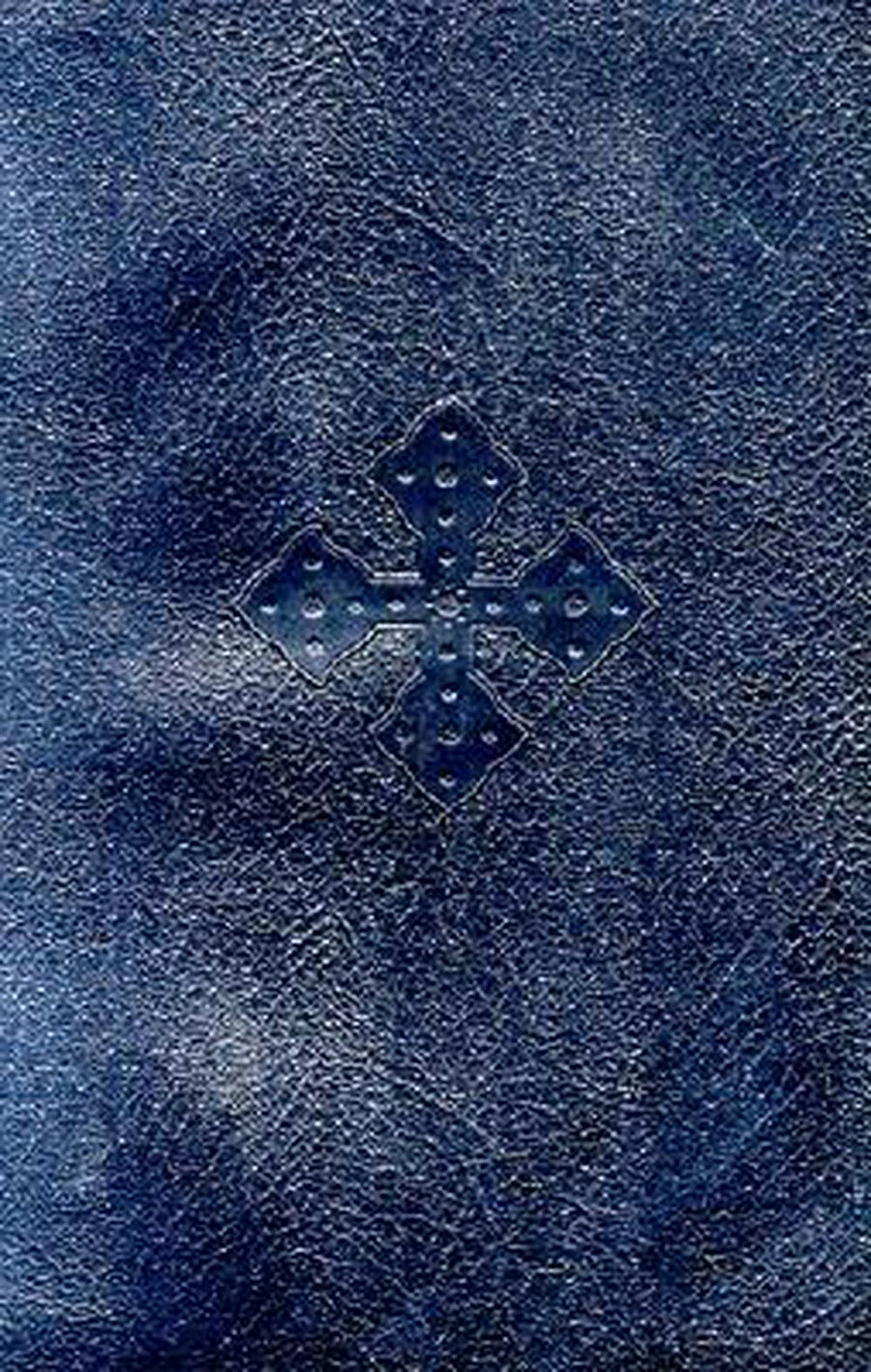 Tigrinya Bible (Common Language Edition) - Re-vived