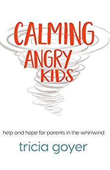 Calming Angry Kids: Help and Hope For Parents In The Whirlwind - Re-vived