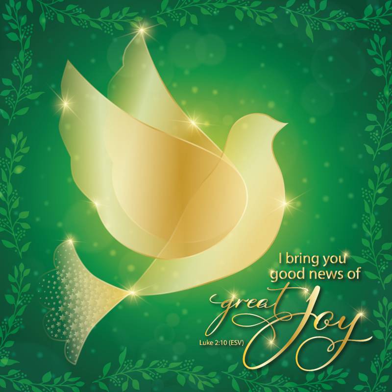 Green Dove Luxury Christmas  Card (pack of 10) - Re-vived