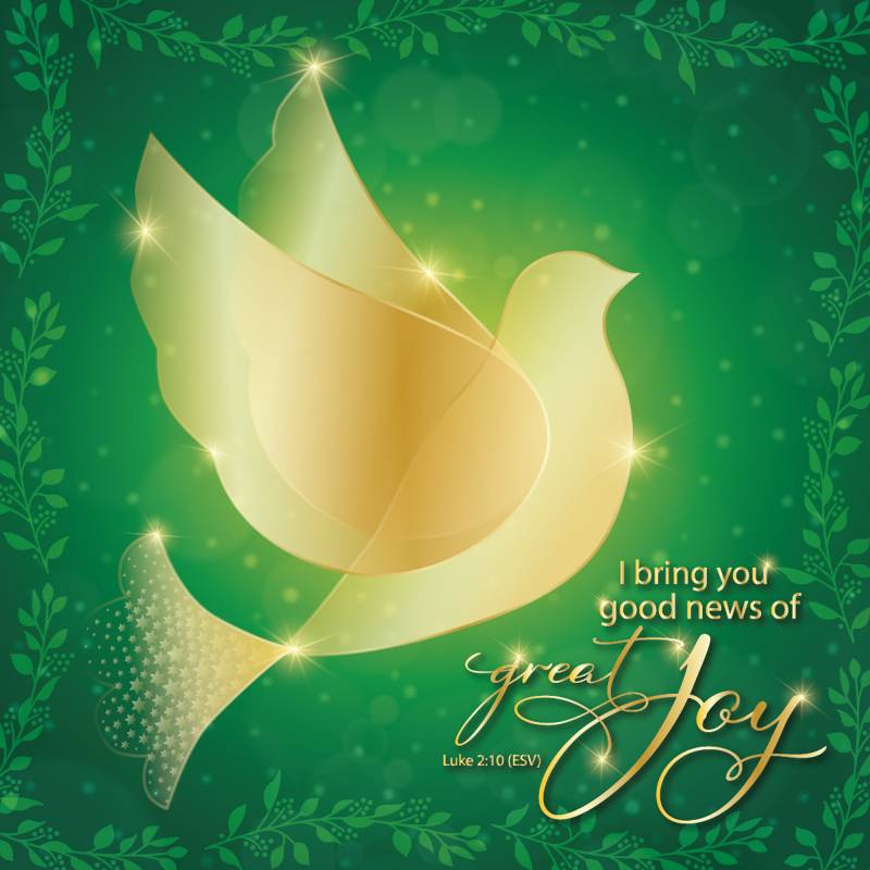 Green Dove Luxury Christmas  Card (pack of 10)