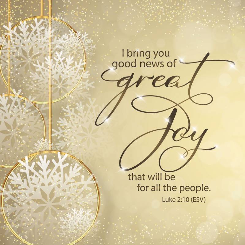News of Great Joy Luxury Christmas Card (pack of 10) - Re-vived