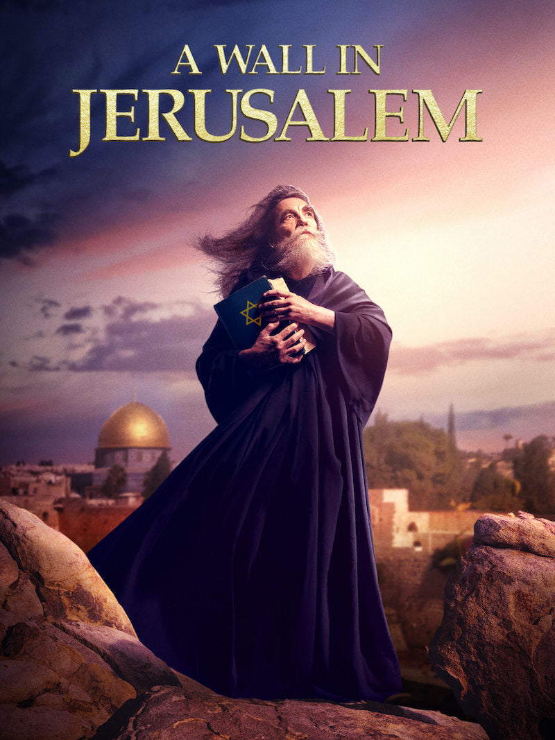 A Wall in Jerusalem DVD