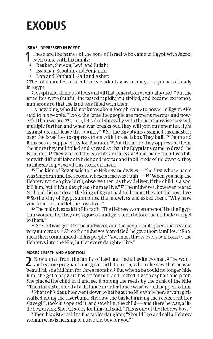 CSB Read To Me Bible - Re-vived