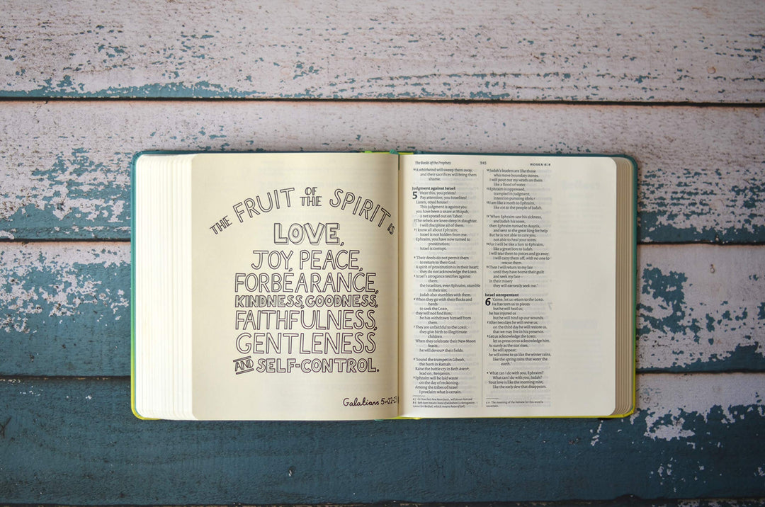 NIV Soul Survivor Journalling Bible - Re-vived