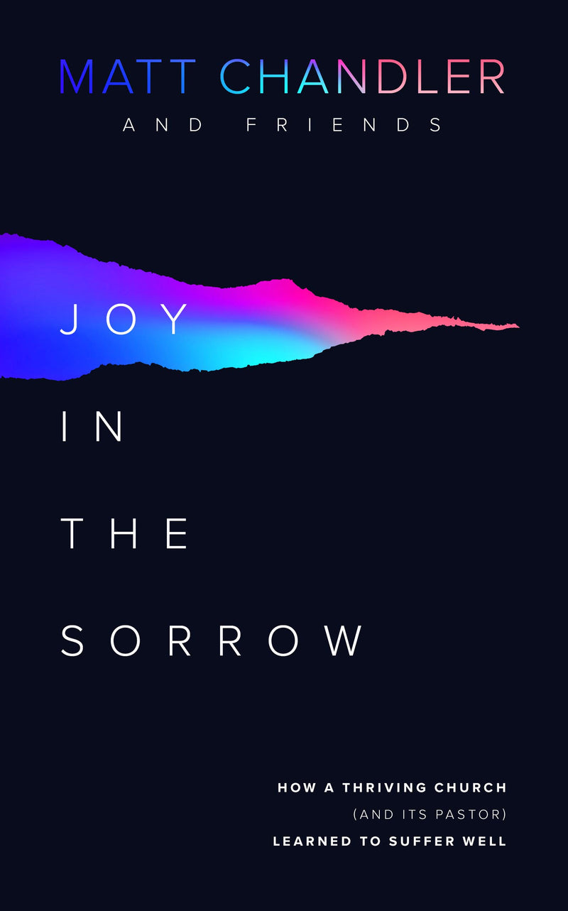 Joy in the Sorrow - Re-vived