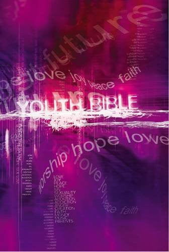 NCV Youth Bible Purple Hardback - Various Authors - Re-vived.com