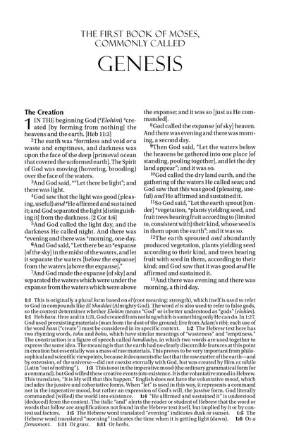 Amplified Bible: Hardback - Re-vived