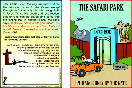 Tracts: Safari (Pack of 50) - Re-vived