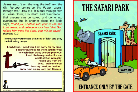 Tracts: Safari (Pack of 50)
