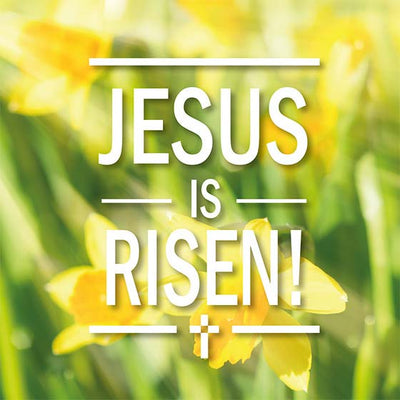 Jesus is Risen Easter Cards (pack of 5) - Re-vived
