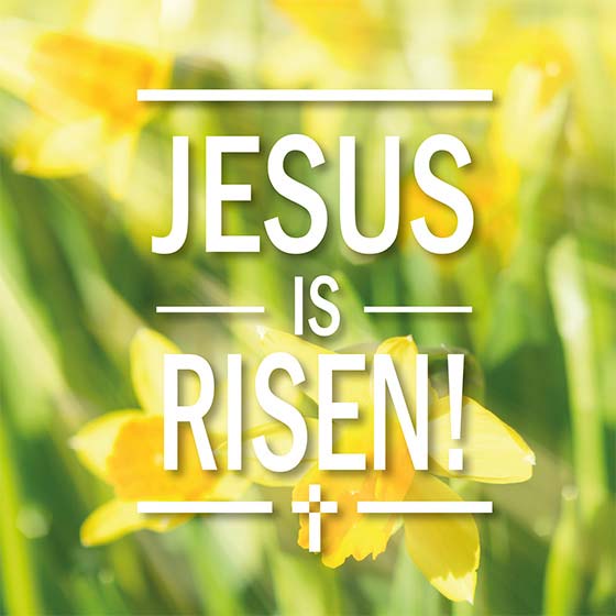 Jesus is Risen Easter Cards (pack of 5)