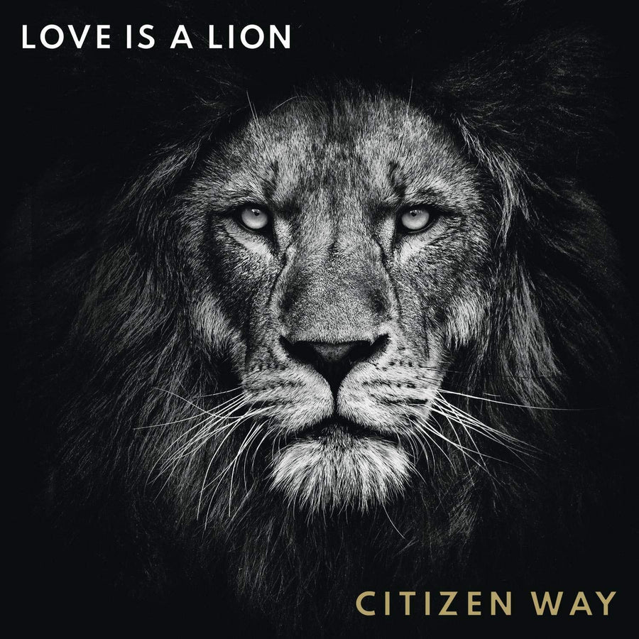 Love Is A Lion CD - Re-vived