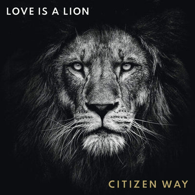 Love Is A Lion CD - Re-vived