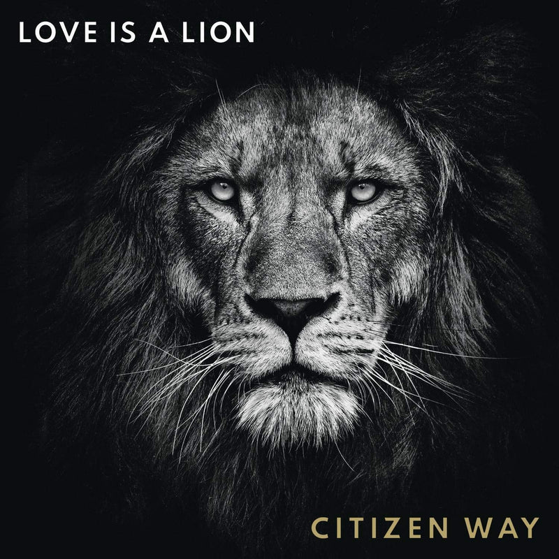 Love Is A Lion CD