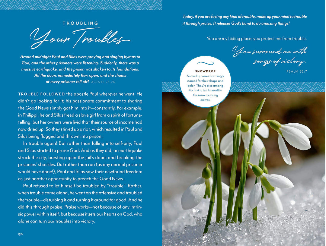 Flourish: Devotions for a Well-Tended Heart - Re-vived