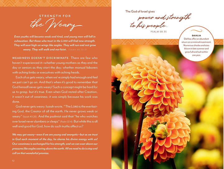 Flourish: Devotions for a Well-Tended Heart - Re-vived