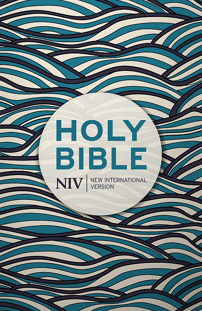 NIV Holy Bible - Re-vived