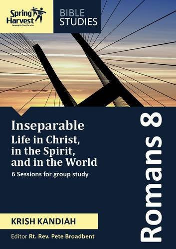 Romans 8 Workbook - Re-vived