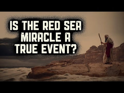 Patterns of Evidence: Red Sea Miracles DVD