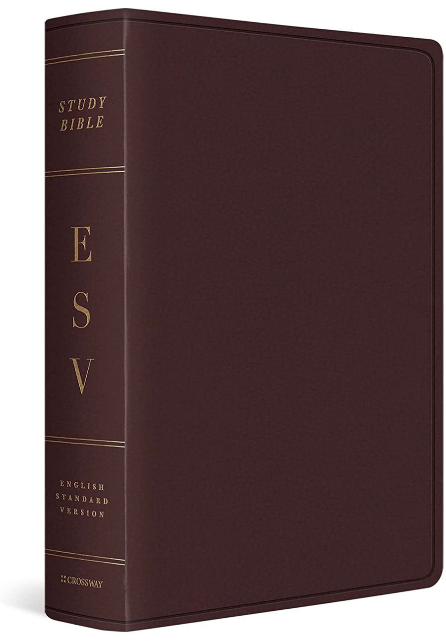 ESV Study Bible, Large Print, Burgundy - Re-vived