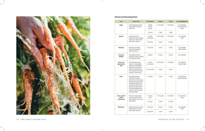 The One-Year Garden Plan - Re-vived