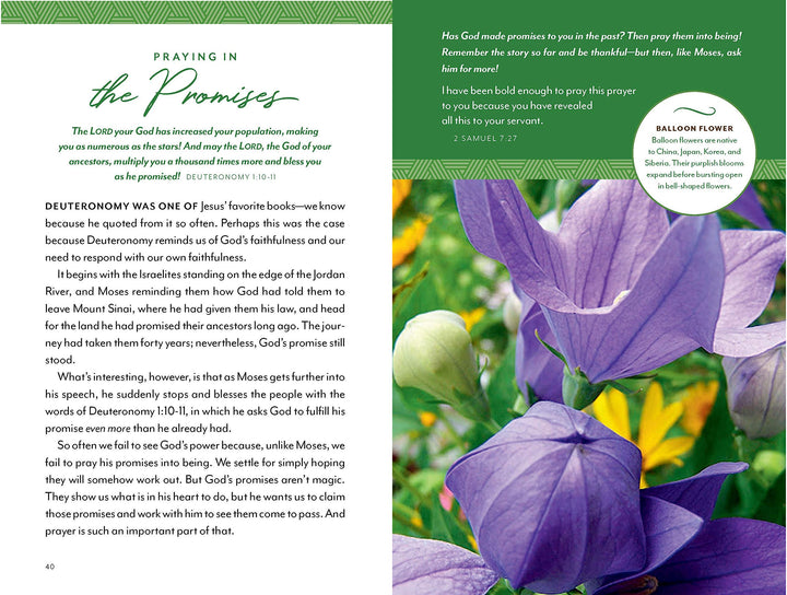 Flourish: Devotions for a Well-Tended Heart - Re-vived