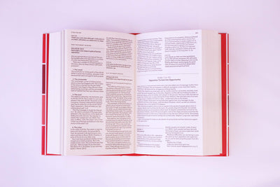 The Bible in One Year – a Commentary by Nicky Gumbel