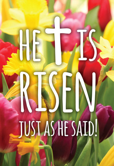 Risen/Tulips Easter Cards (pack of 5) - Re-vived