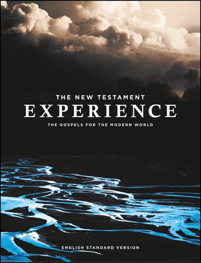 The New Testament Experience - Re-vived